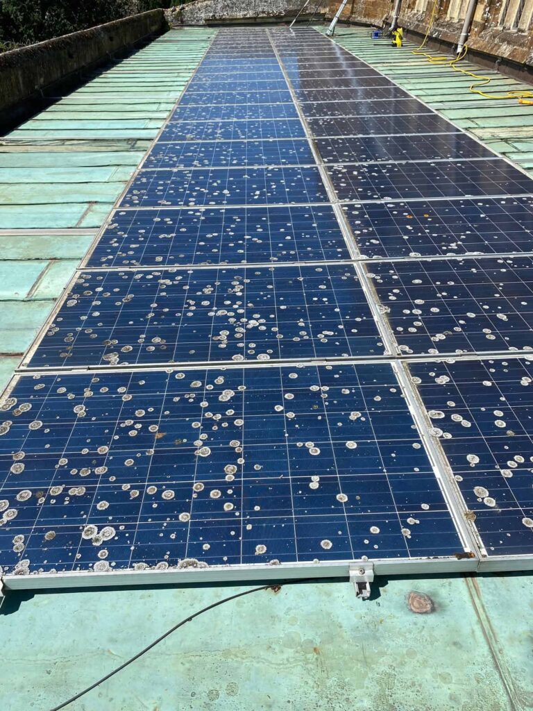 Lichen and moss covered solar panels requiring repairs and cleaning Lichen and moss covered solar panels requiring repairs and cleaning