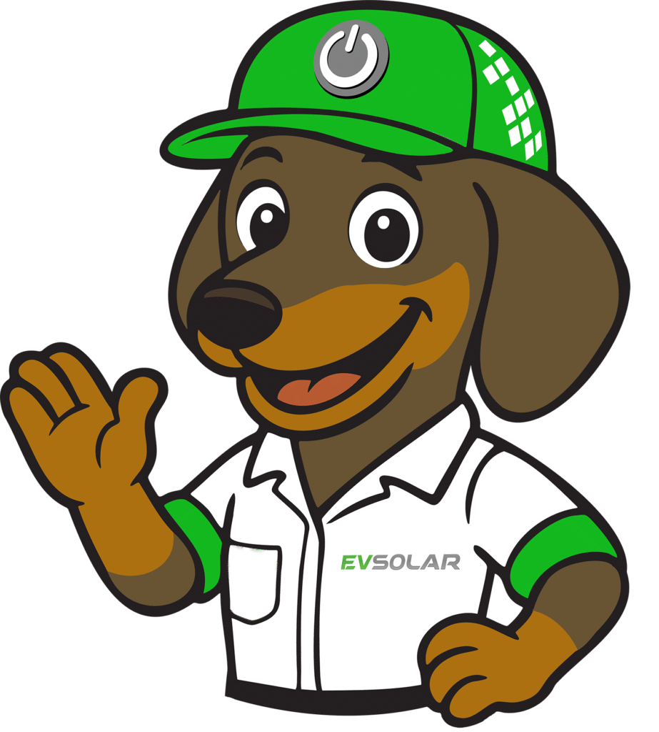 Sunny the Dachshund, our mascot