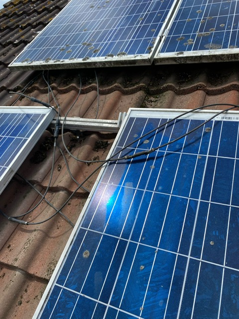 Solar panels on a roof in England covered with lichen