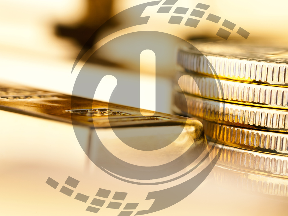 EV Solar & Battery Storage Ltd. accepts Greenbacks payment